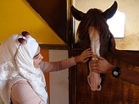 AleyEquiClubTripOct2016 (11)