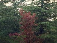 Arz AL Barouk20