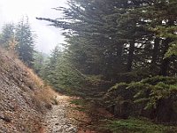 Arz AL Barouk21