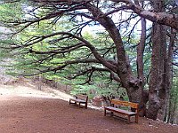 Arz AL Barouk23