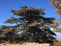 Arz AL Barouk3