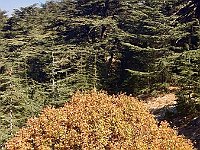 Arz AL Barouk6