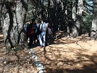 HikingTrip22Nov2016 (10)