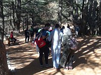 HikingTrip22Nov2016 (11)