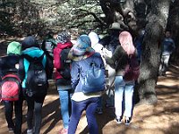 HikingTrip22Nov2016 (12)