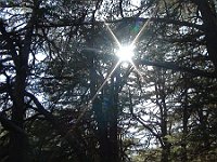 HikingTrip22Nov2016 (24)