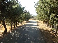 HikingTrip22Nov2016 (3)