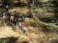 HikingTrip22Nov2016 (30)