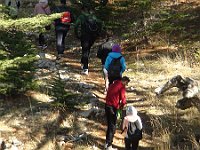 HikingTrip22Nov2016 (32)
