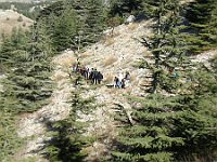 HikingTrip22Nov2016 (44)