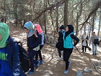 HikingTrip22Nov2016 (8)