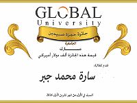 hamzasabbidinprize-sara jabr