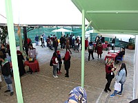 Open Door 2017  (71)