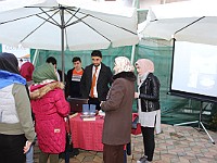 Open Door 2017  (72)