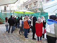 Open Door 2017  (73)