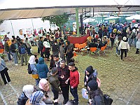 GU-OpenDoor1Mar2019 (28)